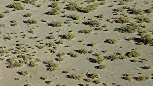 رصد پهپادی اتباع غیرمجاز درحال ورود به کرمان + فیلم