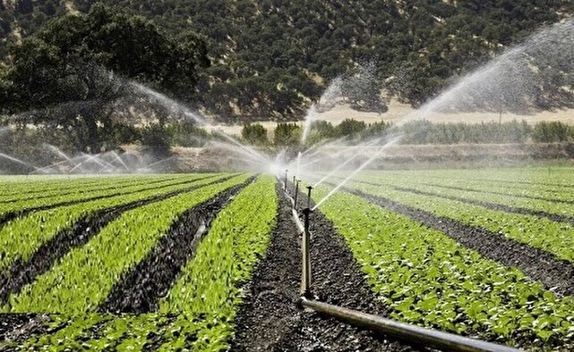 ۲۹ هزار هکتار از اراضی کشاورزی قم به سامانه‌های نوین آبیاری مجهز شده‌است