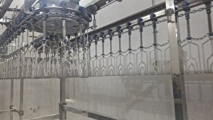 رییس‌جمهور کشتارگاه صنعتی گچساران را با اشتغالزایی هزار نفر افتتاح کرد