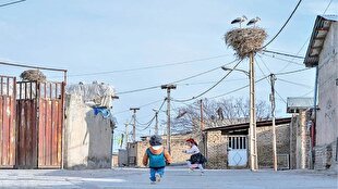 روستایی که لک‌لک‌ها را از مهاجر به همسایه بدل کرد