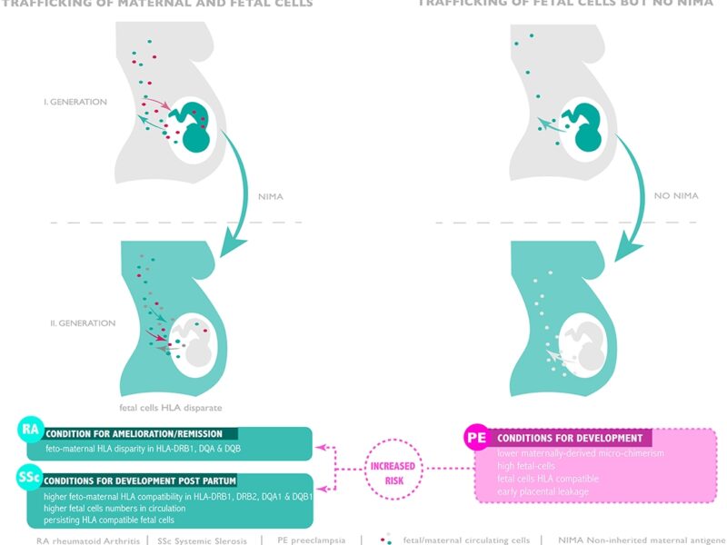 زاکانی: جنگ را از تهران دور می‌دیدیم!/ در حال ساخت پارکینگ‌ و فراهم کردن آژیر در شهر هستیم(فیلم)