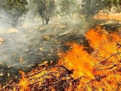 آتش‌ سوزی در جنگل‌های چهاردانگه و نکا