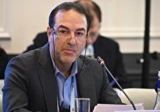 معاون بهداشت وزیر بهداشت: بیشترین گروه هدف آنفولانزا سن ۵ تا ۱۴ سال است (فیلم)