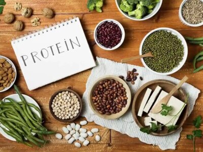 کدام پروتئین سریع تر عضله می سازد؛ وی یا پروتئین گیاهی؟