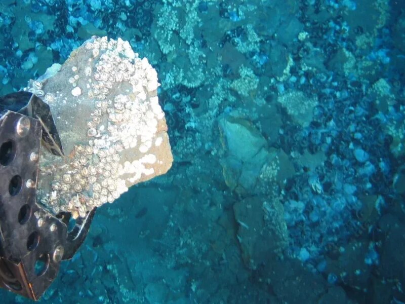 روش نوین استخراج فلزات دریایی با حداقل تخریب محیط‌زیست