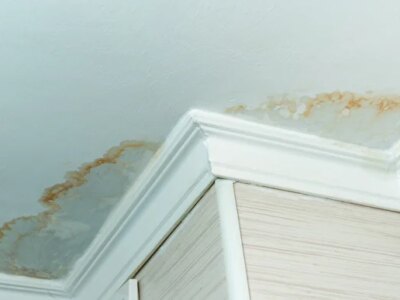 4 دلیل و روش‌ مؤثر ، برطرف کردن زردی گچ سقف و دیوار