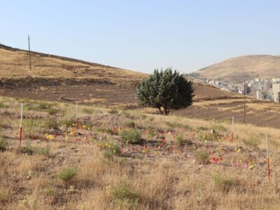 محوطه باستانی کرمانشاه؛ چالش‌ها و چشم‌انداز حفظ یک میراث میلیون ساله
