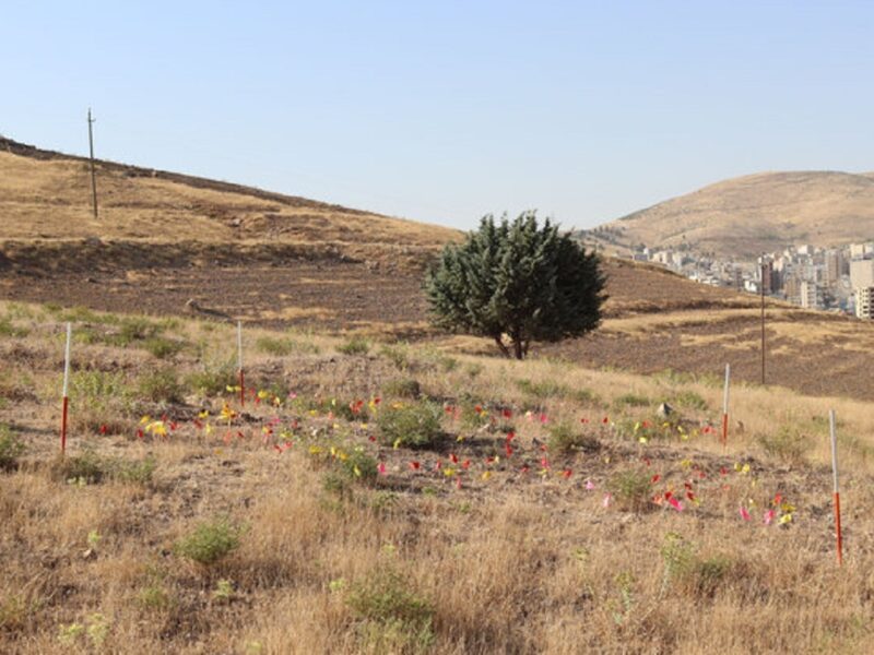محوطه باستانی کرمانشاه؛ چالش‌ها و چشم‌انداز حفظ یک میراث میلیون ساله