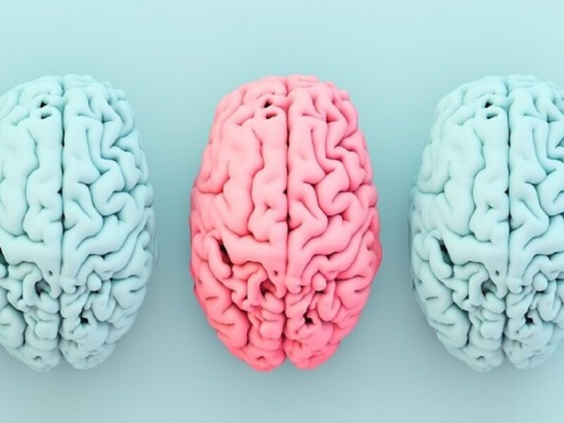 یک ماده مغذی، دو خطر؟ ارتباط شگفت‌انگیز بین چاقی و آلزایمر