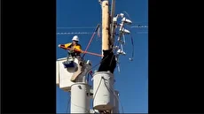 نجات خرس بازیگوش از تیر برق توسط تکنسین آریزونا (فیلم)