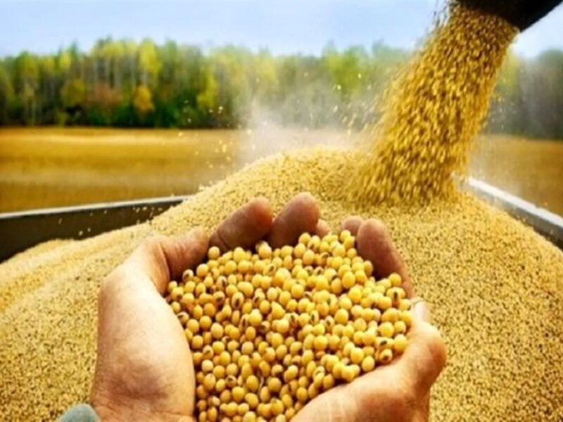 وزیر جهاد کشاورزی: نهاده‌های دامی در حال ترخیص و عرضه به بازار هستند