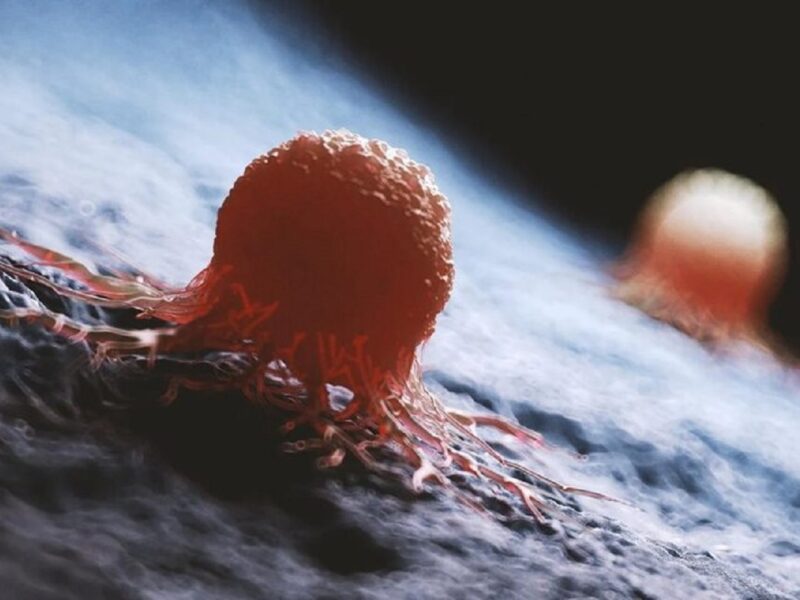 انقلاب در درمان سرطان: هوش مصنوعی راز ۱۰۰ ساله را کشف کرد