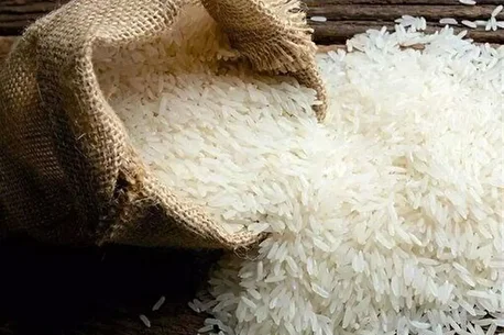 شوک جدید به بازار برنج؛ قیمت برنج هندی و پاکستانی جهش خورد!