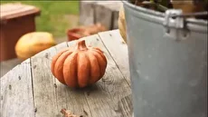 مراحل حیرت‌انگیز تراش کدو تنبل از سنگ توسط استاد آلمانی (فیلم)