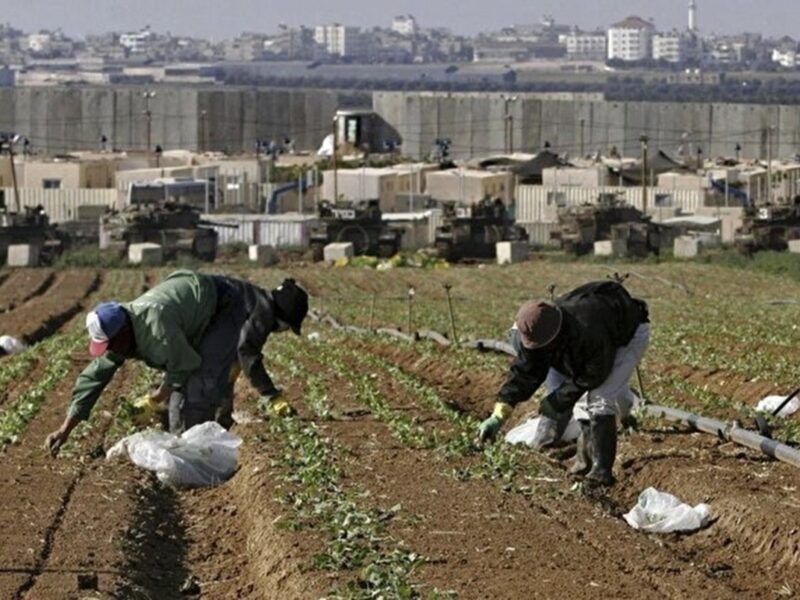 ادعای جروزالم‌پست: ایران برای فلج کردن کشاورزی اسرائیل به تایلند پیشنهادی مخفیانه داده بود