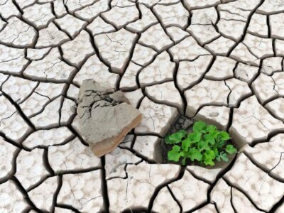 بلایی بدتر از فرسایش خاک/ کاهش نگران کننده کربن آلی خاک در استان‌های کشور