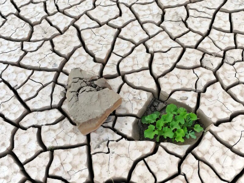 بلایی بدتر از فرسایش خاک/ کاهش نگران کننده کربن آلی خاک در استانهای کشور