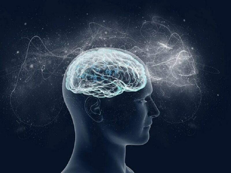 نظریه جنجالی یک فیزیک‌دان درباره آگاهی و زندگی پس از مرگ