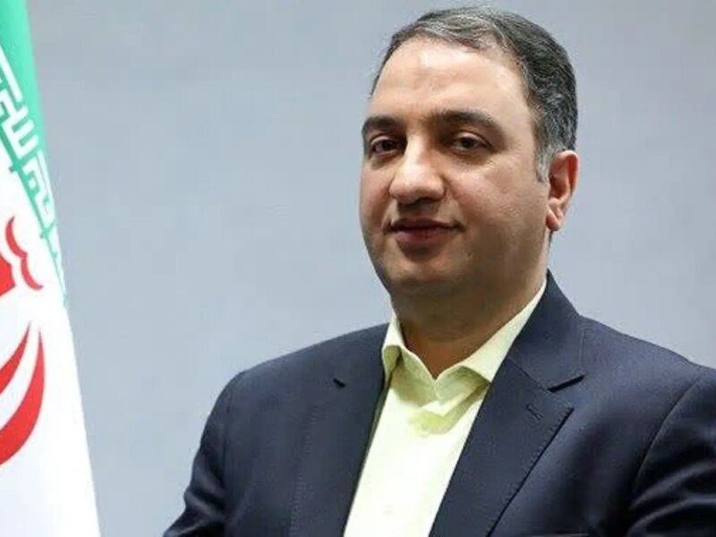 معاون وزارت اقتصاد: با افزایش شفافیت مالی، قدرت تصمیم‌گیری بیشتر می‌شود