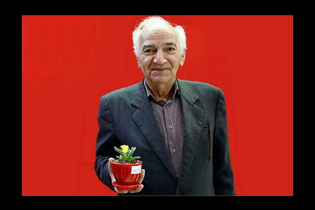 بازی بنفشه‌خواه در سریالی درباره جنگ ۱۲ روزه؛ رویا افشار مادر شهید شد