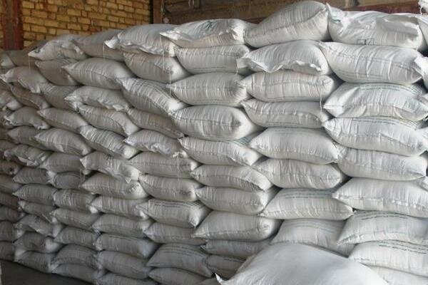 انهدام شبکه احتکار نهاده دامی در عجبشیر