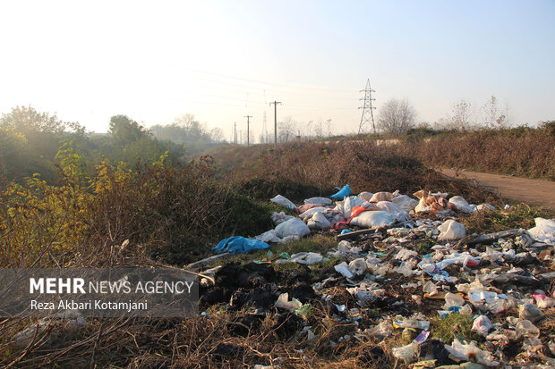 محمدی: مهم‌ترین عامل آلودگی خاک در ایلام پسماندهای شهری هستند