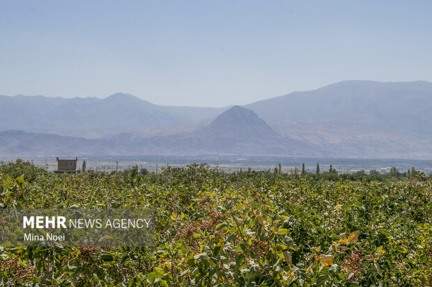خشک شدن دریاچه ارومیه؛ از تغییر الگوی کشت تا مقاوم سازی اقتصاد کشاورزی