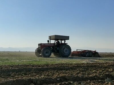 هدف گذاری برای کشت جو در سطح ۸ هزار هکتار از اراضی کشاورزی دهلران