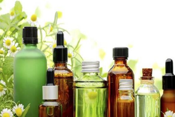 گسترش همکاریهای ایران و هند در صنعت پزشکی و داروهای گیاهی