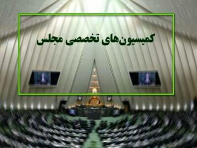 حضور ۵ وزیر در جلسات هفته جاری کمیسیون‌های مجلس