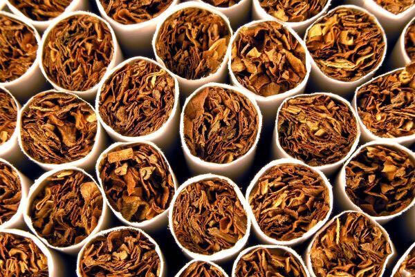 محموله تنباکوی قاچاق در سواحل بندرعباس کشف شد