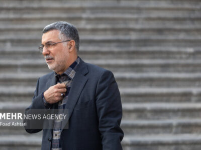 ظفرقندی: افرادی که جزو گروه‌های پرخطر هستند، واکسن آنفولانزا بزنند