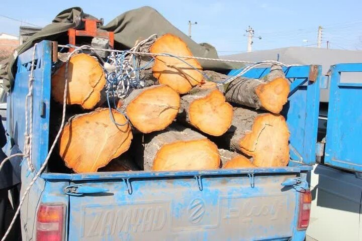 نعمتی: بیش از ۵ تن چوب قاچاق در تبریز کشف شد