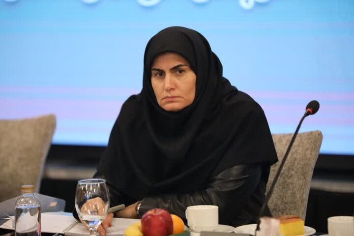 مرداخانی: ۱۸۰۰هکتار زمین برای احداث نیروگاه خورشیدی درزنجان شناسایی شد