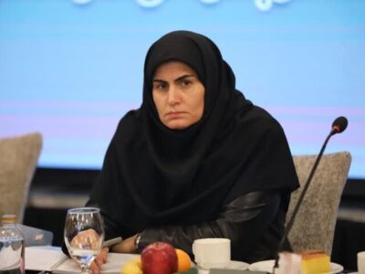 مرداخانی: ۱۸۰۰هکتار زمین برای احداث نیروگاه خورشیدی درزنجان شناسایی شد