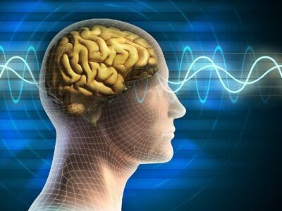 خواندن سیگنال‌های پنهان مغز با فناوری جدید محقق ایرانی