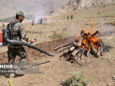 بسیج مردمی برای مهار آتش جنگل‌ها؛ آموزش جوامع محلی برای اطفای حریق