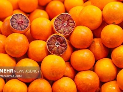 وضعیت کالاهای اساسی در بازار شهرستان دهلران