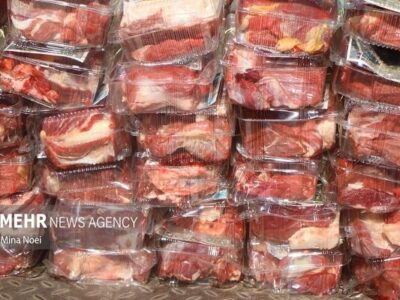 ۱۰۰ کیلوگرم گوشت فاسد در خرم‌آباد کشف شد