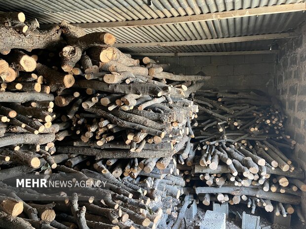 کلاگر: باند ۱۳ نفره قاچاق چوب در آمل متلاشی شد