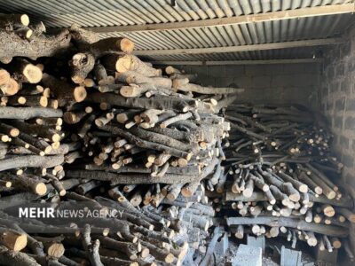 فرمانده انتظامی بهارستان: ۲ تن چوب قاچاق کشف شد