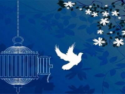 یک محکوم به قصاص در نکا بعد از تحمل ۱۲ سال حبس رهایی یافت