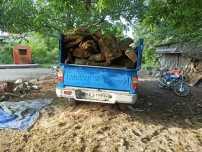 اعضای ۳۰ باند سازمان‌یافته قاچاق چوب در مازندران دستگیر شدند