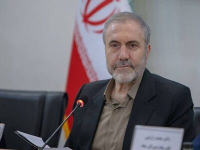 ذوالفقاری: ایران برای تأمین نیاز دارویی خود نیازی به کشت خشخاش ندارد