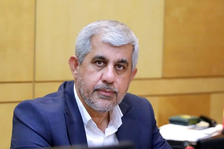 سعیدی: باید با متخلفان بزرگ اقتصادی و عاملان گرانیها برخورد قاطع شود