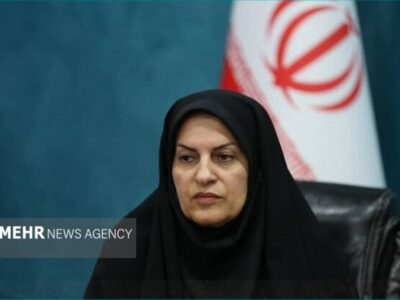 دوره آشنایی با قوانین و مقررات سازمان‌های مردم‌نهاد در بوشهر برگزار شد