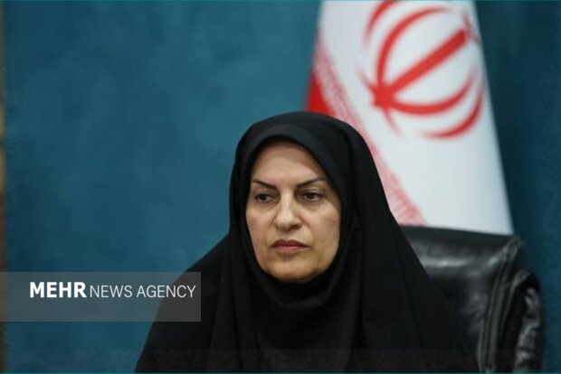 دوره آشنایی با قوانین و مقررات سازمانهای مردمنهاد در بوشهر برگزار شد