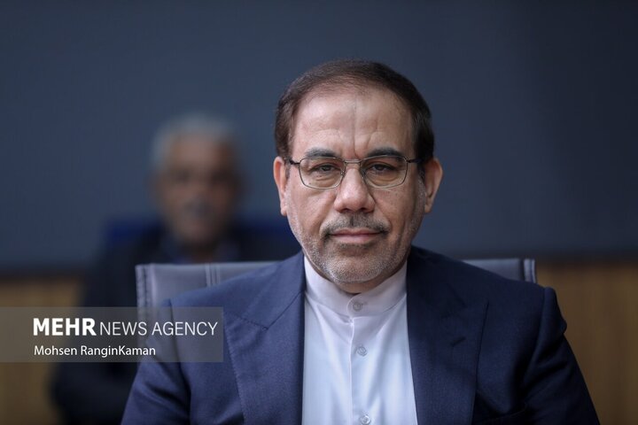 جهانگیر: برنامههای پیشگیری از جرم باید مبتنی بر آسیب شناسی باشد