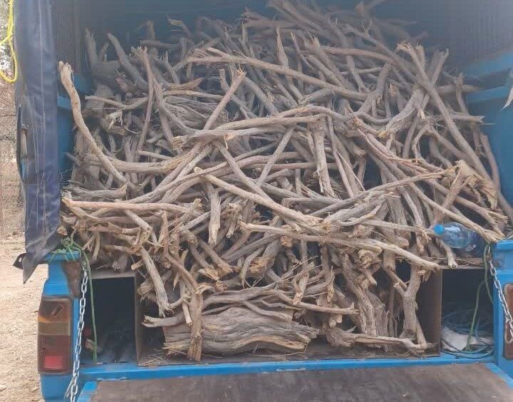کشف ۱۱ تن چوب قاچاق در سنقروکلیایی توسط پلیس