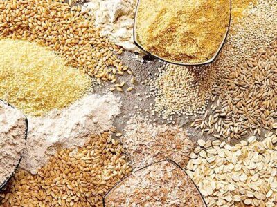 معطلی ترخیص نهاده‌های دامی در بنادر کشور به علت نبود تخصیص ارز